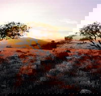 Adelaide To Coober Pedy 7 DAY SMALL GROUP 4WD SAFARI - Local Tourism