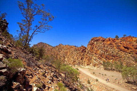 Lake Eyre And Flinders Ranges 4 Day Small Group 4WD Eco Safari - Local Tourism 9