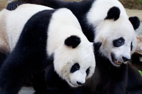 Adelaide City Tour With Optional River Cruise And Adelaide Zoo Admission - Accommodation Australia 1