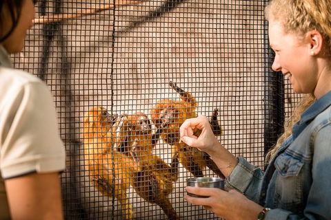 Adelaide Zoo Behind The Scenes Experience: Meet The Primates - Accommodation Australia 0