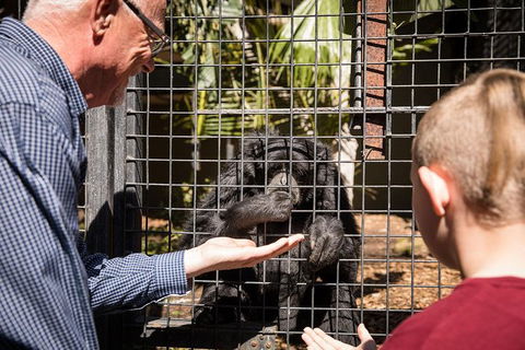 Adelaide Zoo Behind The Scenes Experience: Meet The Primates - Accommodation Australia 1
