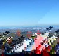 Mount Lofty Descent Bike Tour from Adelaide - Local Tourism