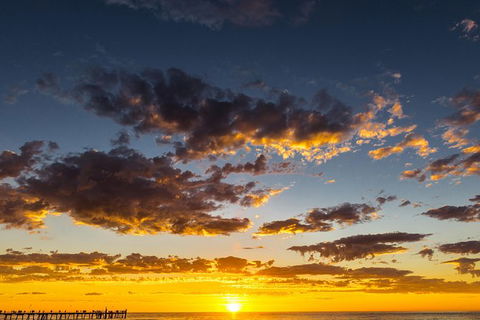 Adelaide Ocean Safari - Twilight Safari - Accommodation Australia 1
