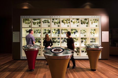 Australian Wine Discovery Tour With Tastings - Accommodation Australia 5