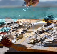 Experience Coffin Bay Short and Sweet Oyster Farm Tour - Local Tourism