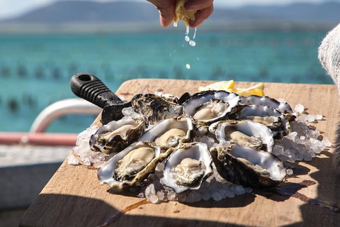 Experience Coffin Bay Short And Sweet Oyster Farm Tour - Local Tourism 0