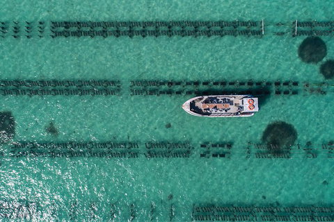 Experience Coffin Bay Short And Sweet Oyster Farm Tour - Local Tourism 1