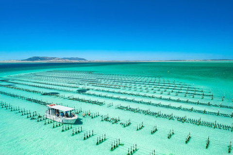 Experience Coffin Bay Short And Sweet Oyster Farm Tour - Local Tourism 5