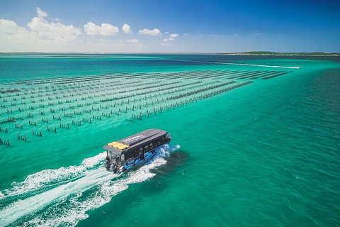 Experience Coffin Bay Short And Sweet Oyster Farm Tour - Local Tourism 2