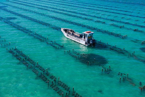 Experience Coffin Bay Short And Sweet Oyster Farm Tour - Local Tourism 7
