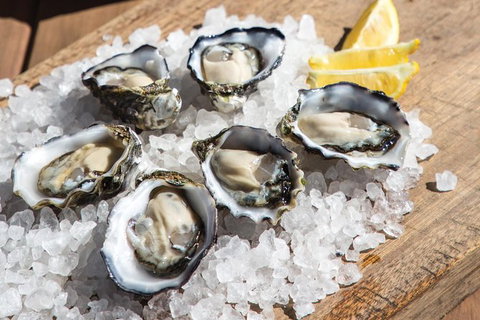 Experience Coffin Bay Short And Sweet Oyster Farm Tour - Local Tourism 3