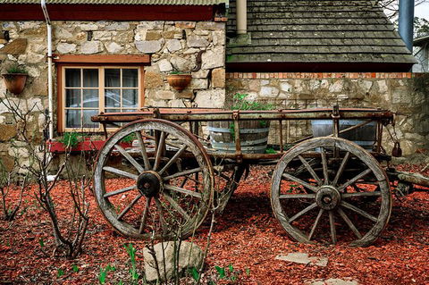 Adelaide Hills Tour With River Murray 3 Hour Lunch Cruise - Accommodation Australia 7