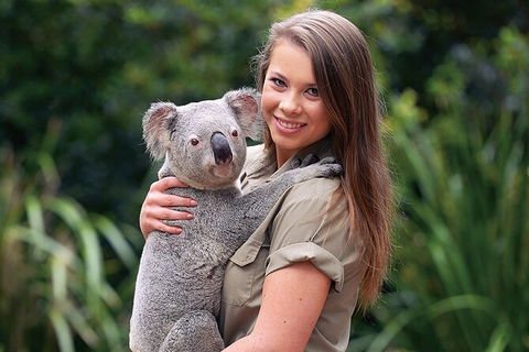 Croc Express To Australia Zoo From Brisbane - Local Tourism 7