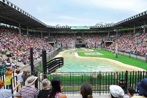 Croc Express To Australia Zoo From Brisbane - Local Tourism 12