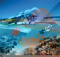 3-Day Southern Great Barrier Reef Tour Including Lady Musgrave Island - Local Tourism