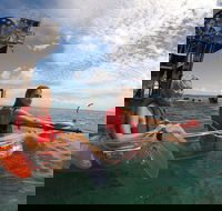 Moreton Island Day Trip Kayak Snorkel  Sandboard frm Brisbane or Gold Coast - Local Tourism