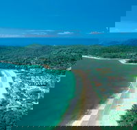 Sunshine Coast Hinterland and Noosa Day Trip from Brisbane Including Eumundi Markets and Ginger Factory - Local Tourism