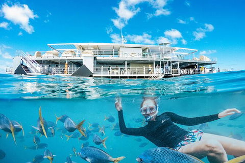 2-Day Great Barrier Reef Reefsleep Experience - Local Tourism 8