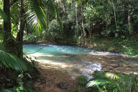 Daintree - Cape Tribulation & Atherton Tablelands Tours From Port Douglas - Accommodation Australia 5