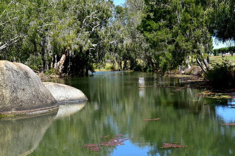Daintree - Cape Tribulation & Atherton Tablelands Tours From Port Douglas - Accommodation Australia 28