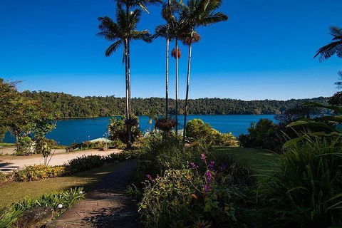 Daintree - Cape Tribulation & Atherton Tablelands Tours From Port Douglas - Accommodation Australia 25