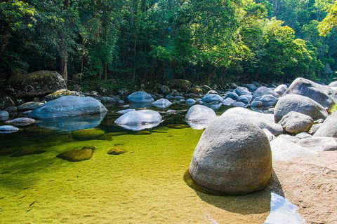 Daintree - Cape Tribulation & Atherton Tablelands Tours From Port Douglas - Accommodation Australia 6