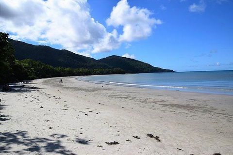 Daintree - Cape Tribulation & Atherton Tablelands Tours From Port Douglas - Accommodation Australia 18