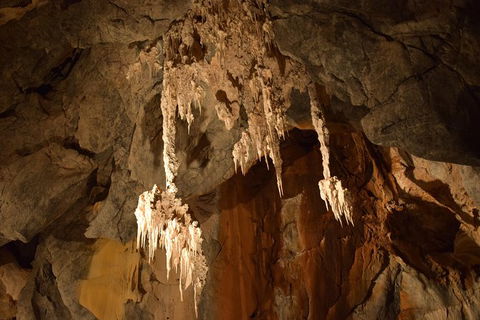 Daintree - Cape Tribulation & Atherton Tablelands Tours From Port Douglas - Accommodation Australia 23