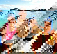 Moreton Island Snorkel and Sandboarding 4WD Day Trip from Brisbane - Local Tourism