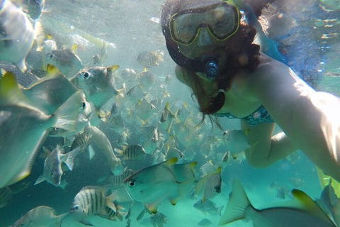 Moreton Island Snorkel And Sandboarding 4WD Day Trip From Brisbane - Local Tourism 7