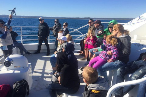 Hervey Bay Whale Watching Experience - Local Tourism 10