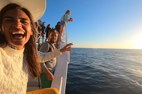 Hervey Bay Whale Watching Experience - Local Tourism 9