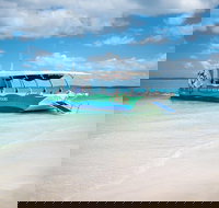 Great Sandy Marine Park Turtle Discovery and Cultural Eco Tour - Local Tourism