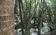 5-Day Fraser Island And Great Barrier Reef Tour - thumb 4