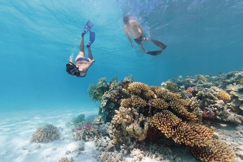 5-Day Fraser Island And Great Barrier Reef Tour - Local Tourism 1