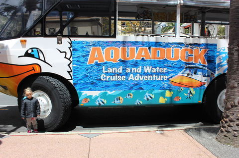 Gold Coast Attraction Pass Including Currumbin Wildlife Sanctuary And Paradise Jetboating - Australia Shopping 2