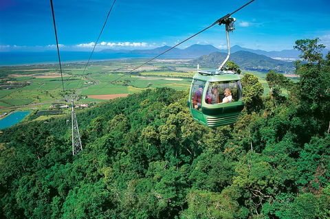 Skyrail Rainforest Cableway Day Trip From Palm Cove - Local Tourism 3