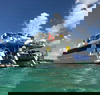 Eco Marine Safari - Boom netting  Snorkeling Moreton Island - Fortitude Valley - Local Tourism