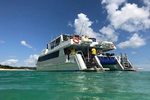 Eco Marine Safari - Boom Netting & Snorkeling Moreton Island - Fortitude Valley - Local Tourism 0