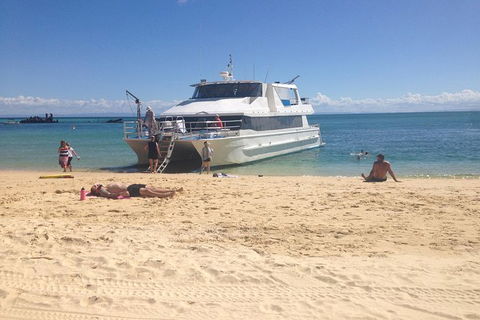 Eco Marine Safari - Boom Netting & Snorkeling Moreton Island - Fortitude Valley - Local Tourism 11