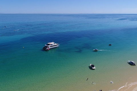 Eco Marine Safari - Boom Netting & Snorkeling Moreton Island - Fortitude Valley - Local Tourism 9