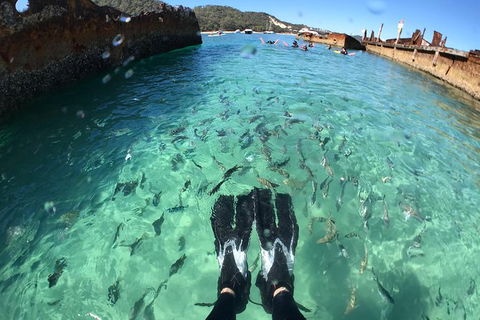 Eco Marine Safari - Boom Netting & Snorkeling Moreton Island - Fortitude Valley - Local Tourism 6