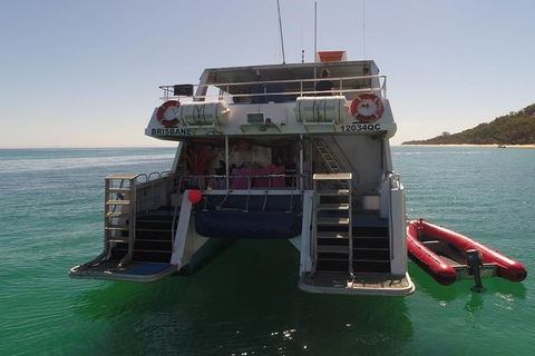 Eco Marine Safari - Boom Netting & Snorkeling Moreton Island - Fortitude Valley - Local Tourism 13