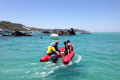 Eco Marine Safari - Boom Netting & Snorkeling Moreton Island - Fortitude Valley - Local Tourism 3