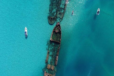 Eco Marine Safari - Boom Netting & Snorkeling Moreton Island - Fortitude Valley - Local Tourism 8