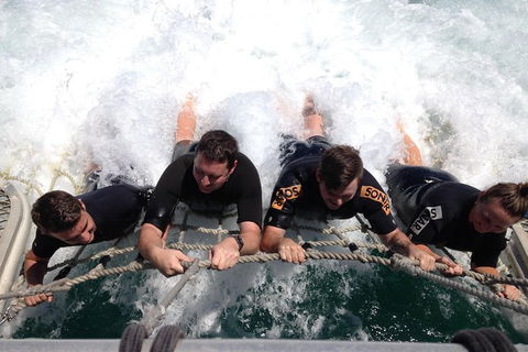 Eco Marine Safari - Boom Netting & Snorkeling Moreton Island - Fortitude Valley - Local Tourism 10