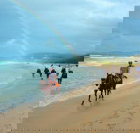 Rainbow Beach Horse Ride - Local Tourism