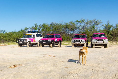 3 Day 4wd Tagalong Tour - Fraser Island - Local Tourism 0