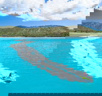 Whitsundays Jet Ski Tour - Local Tourism