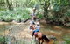 Country Day Ride From Mt Goomboorian With Rainbow Beach Horse Rides - thumb 1